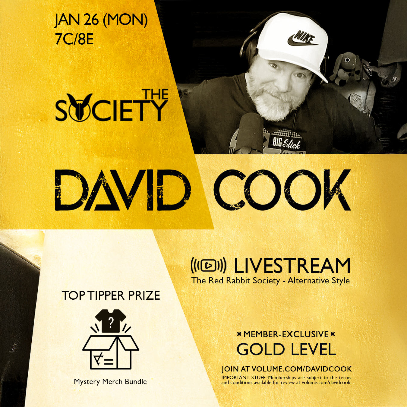 David Cook: Alt style Gold poster image