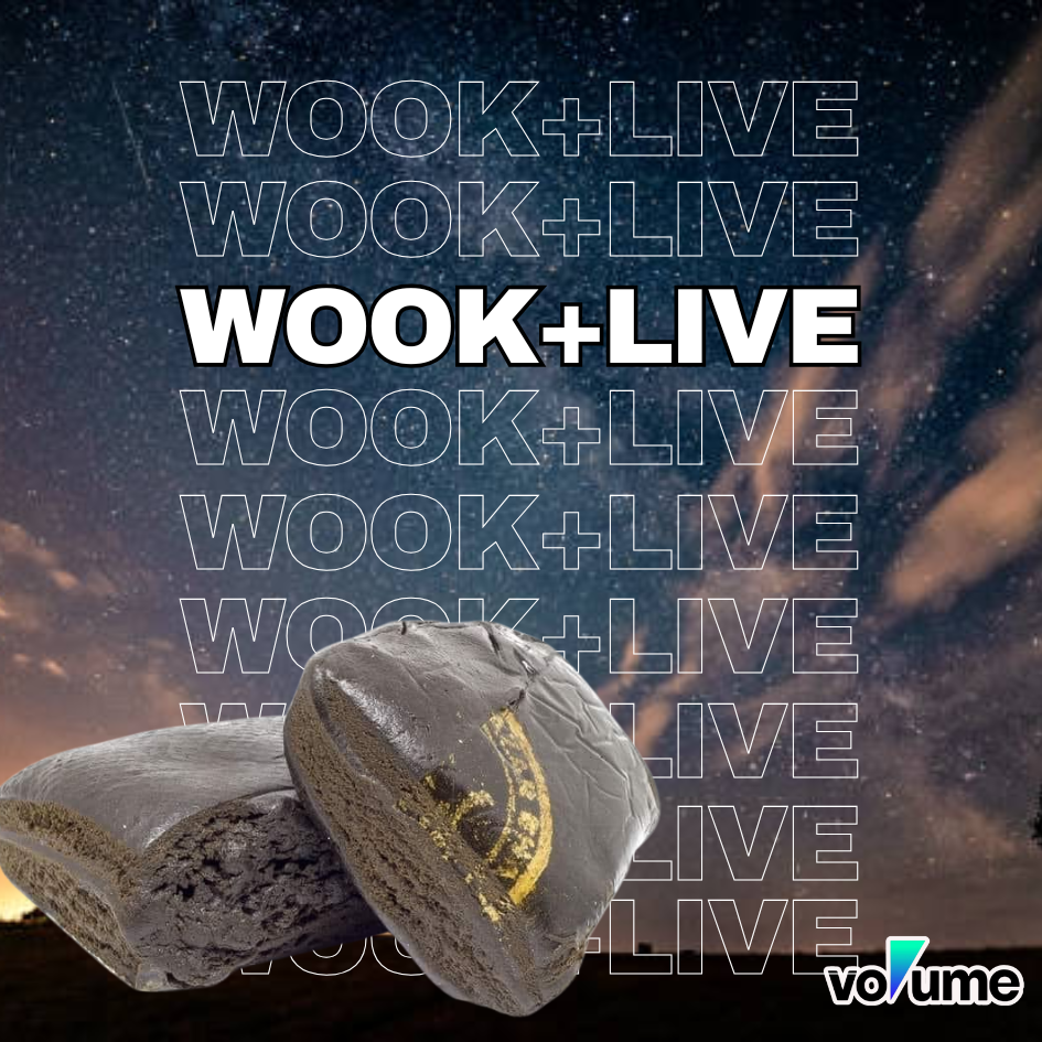 wook+live | Sharing In The Groove's Mike Ayers poster image