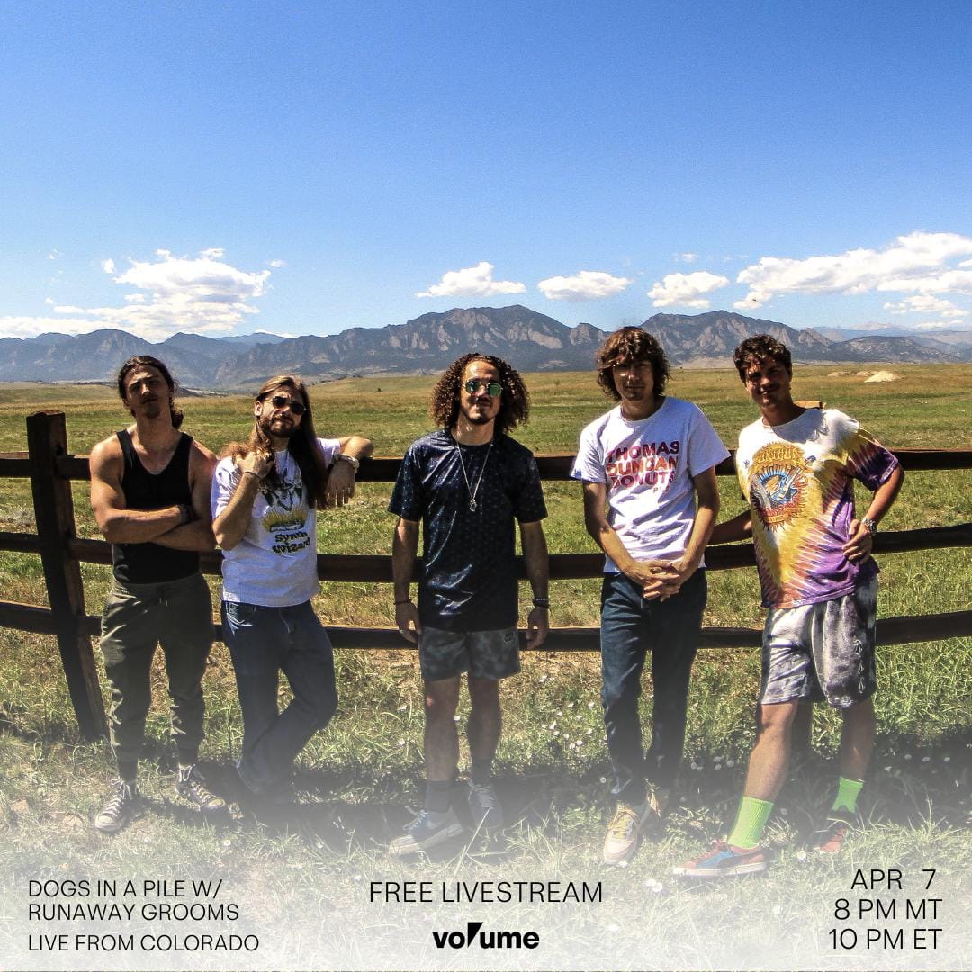 Dogs In A Pile with Runaway Grooms Live from Colorado poster image