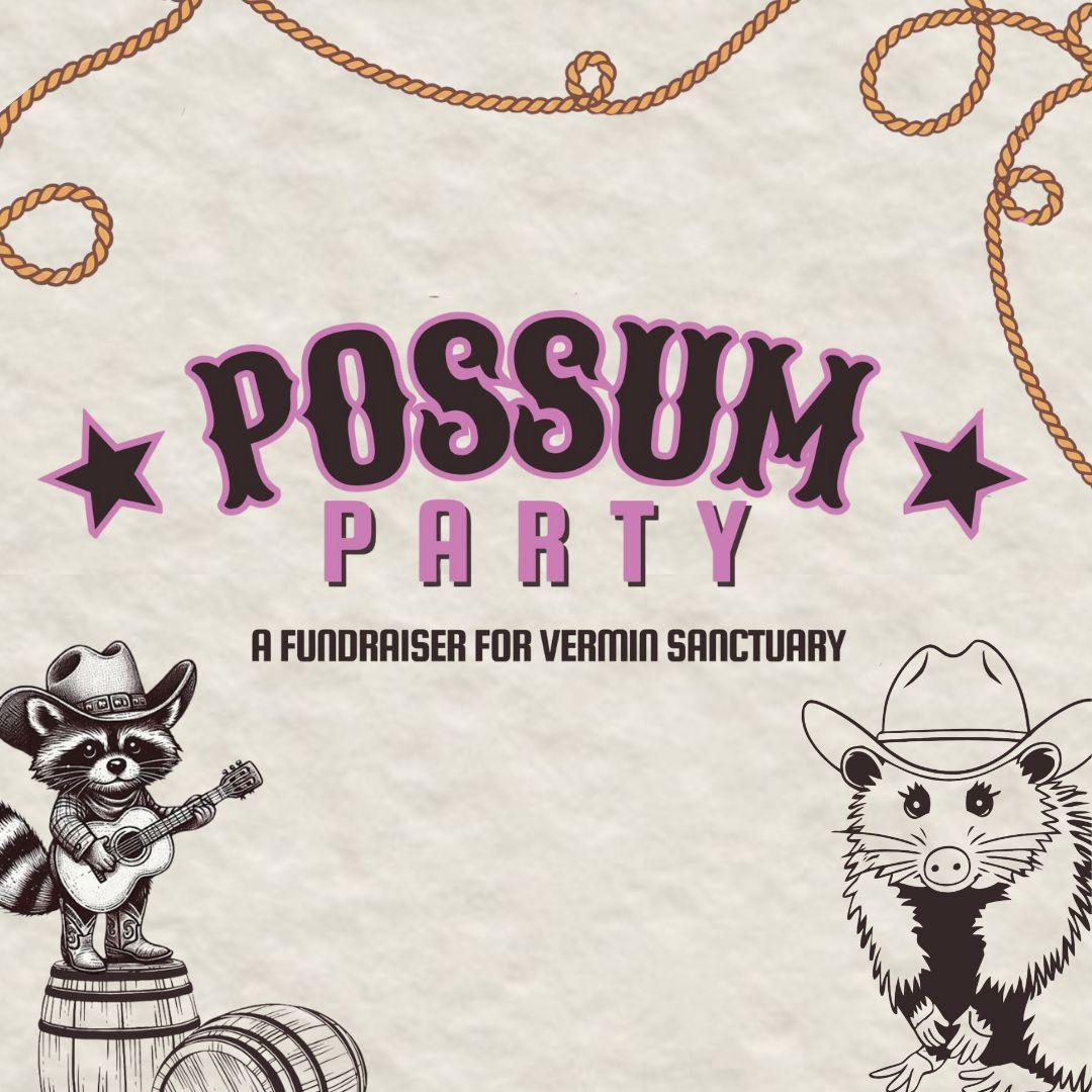 Possum Party poster image