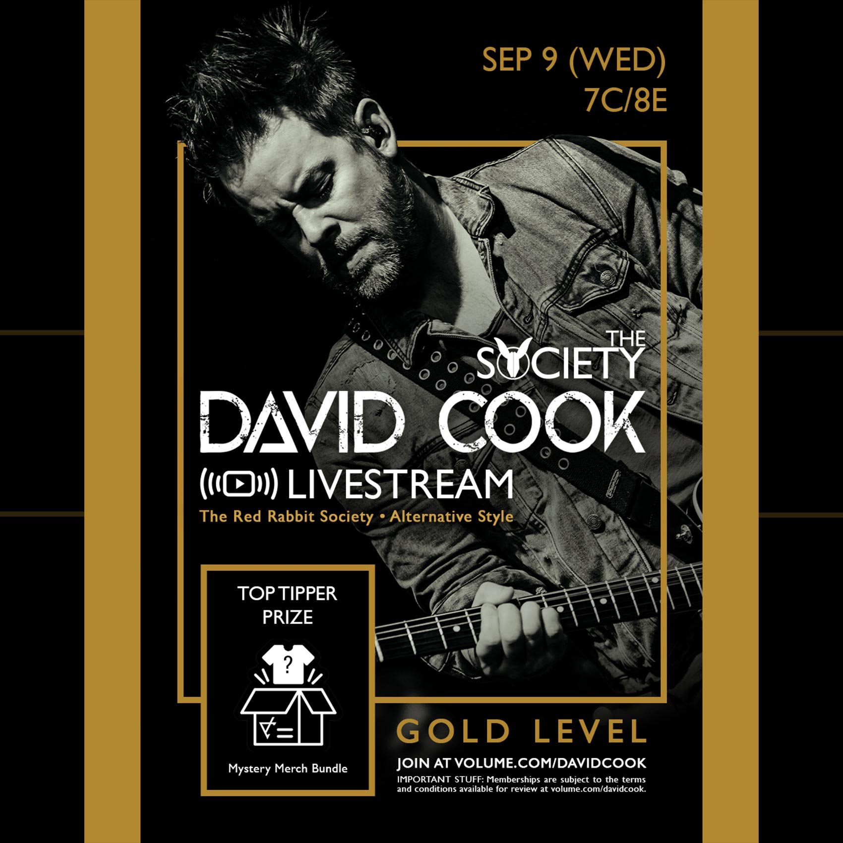 David Cook Gold poster image