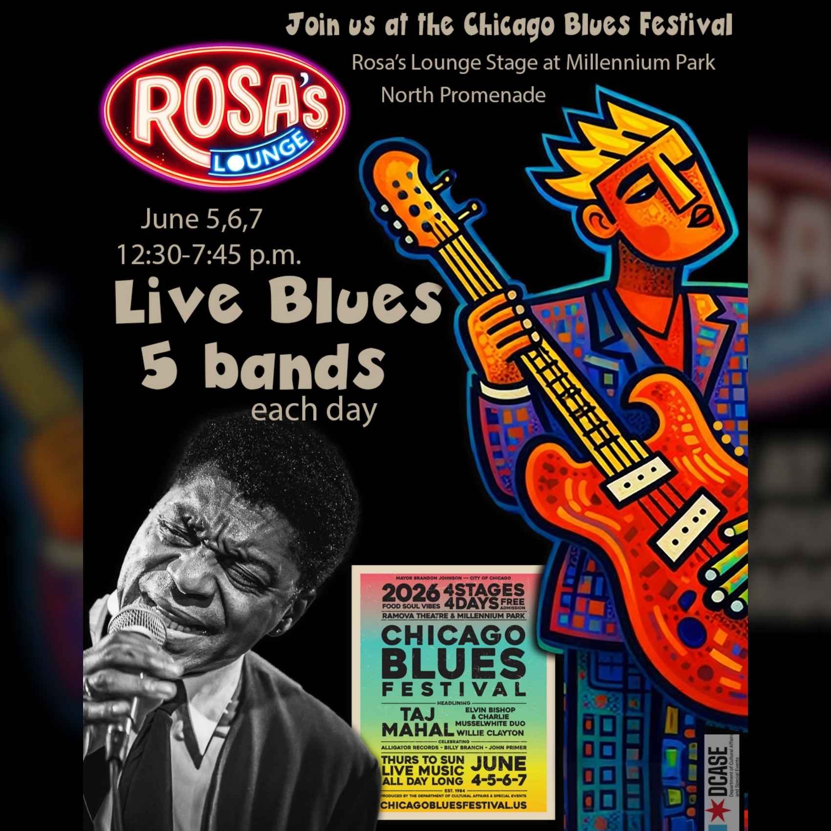Chicago Blues Festival poster image