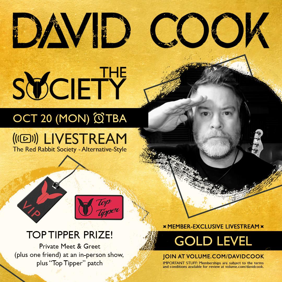 David Cook Alt Style Gold poster image