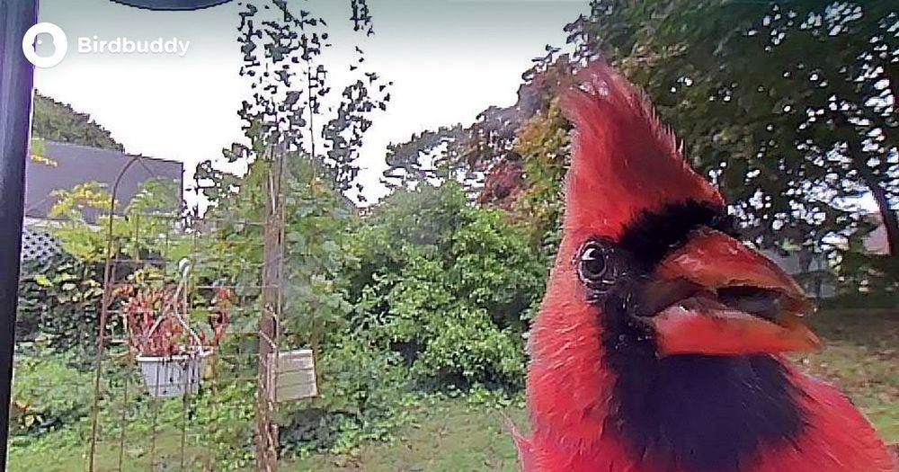 wook+mornings | 10/20/25 / My Morning Jacket Tour Wrap / moe. Sez No Kings / Ramble Band / plus More poster image