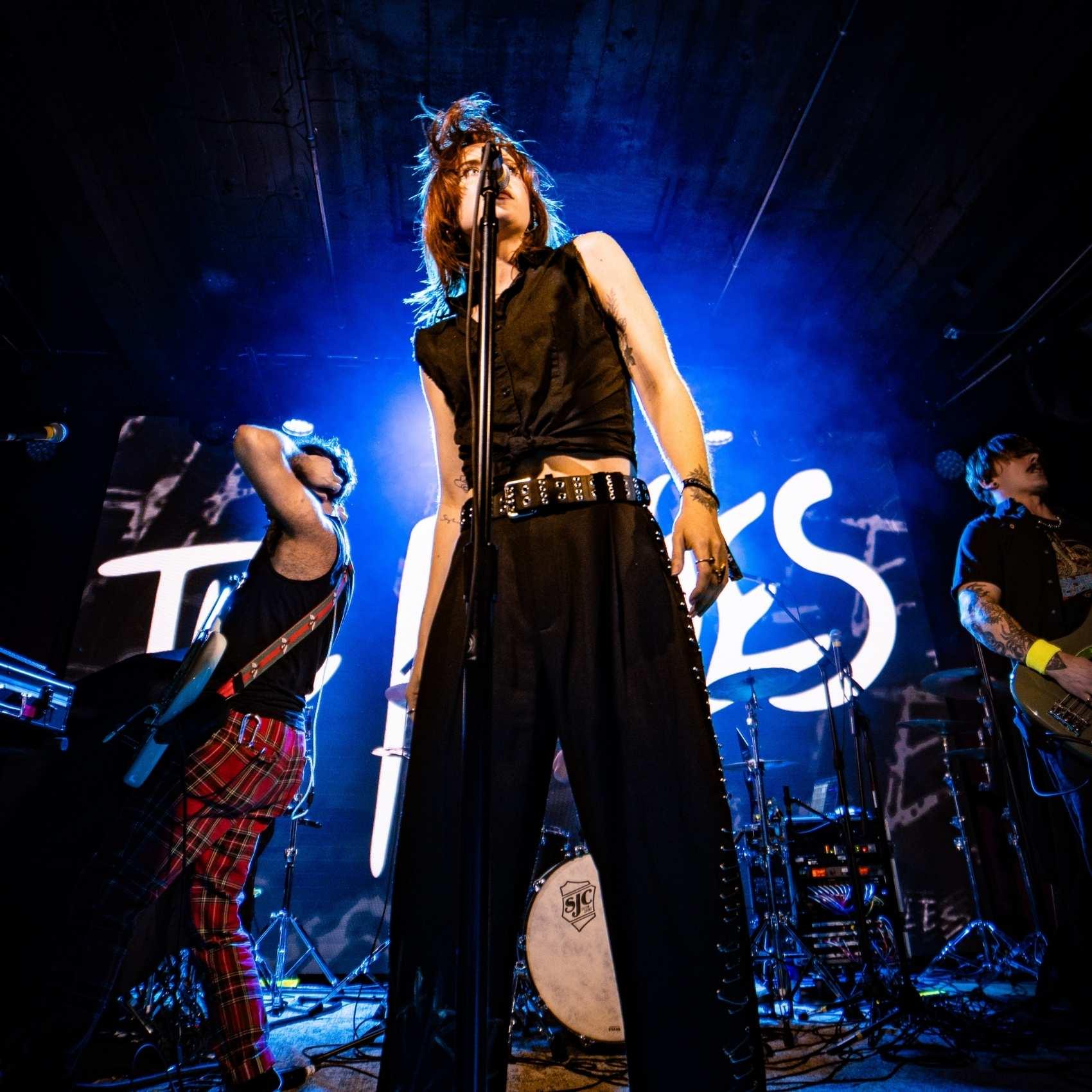 FoxDen Livestream poster image