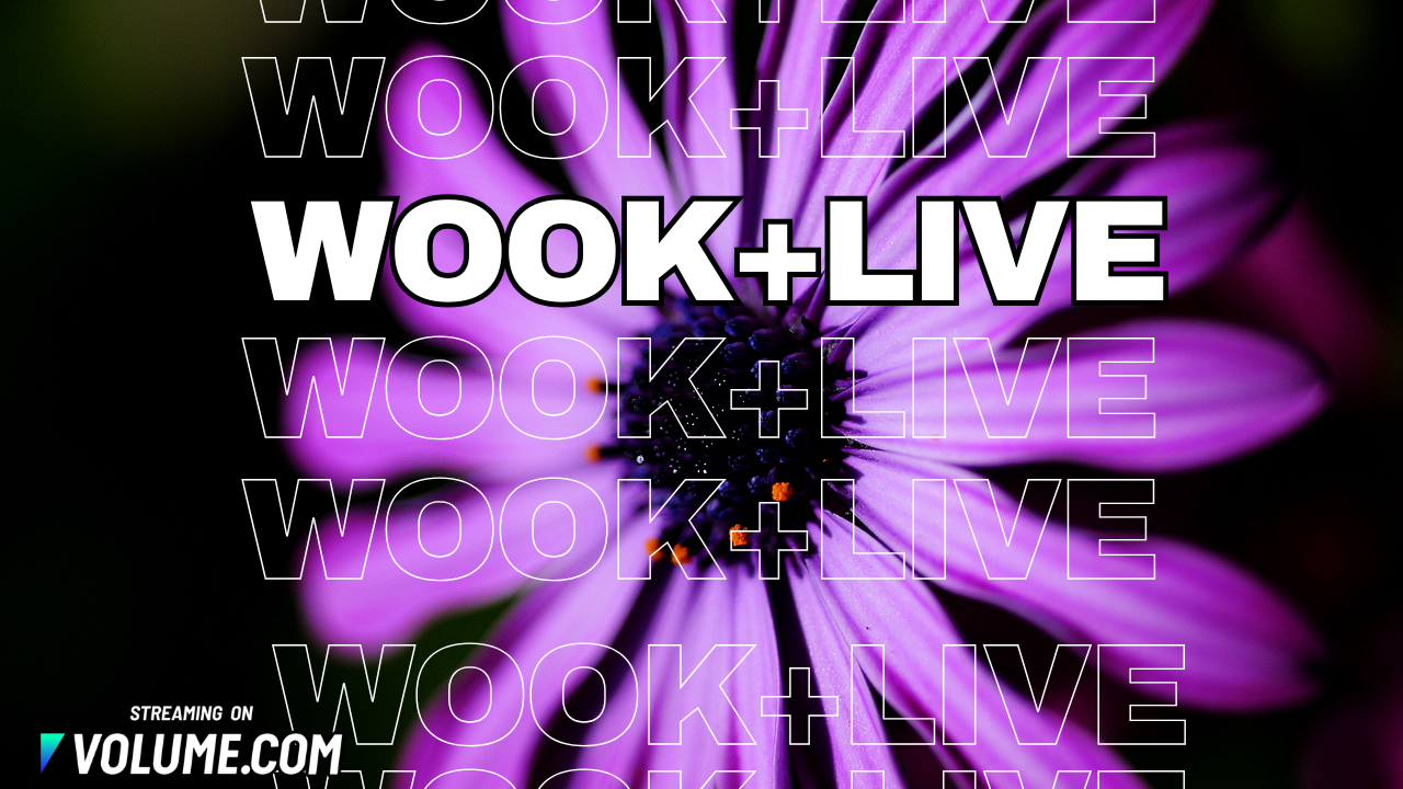 wook+live | April Fools Paradise poster image