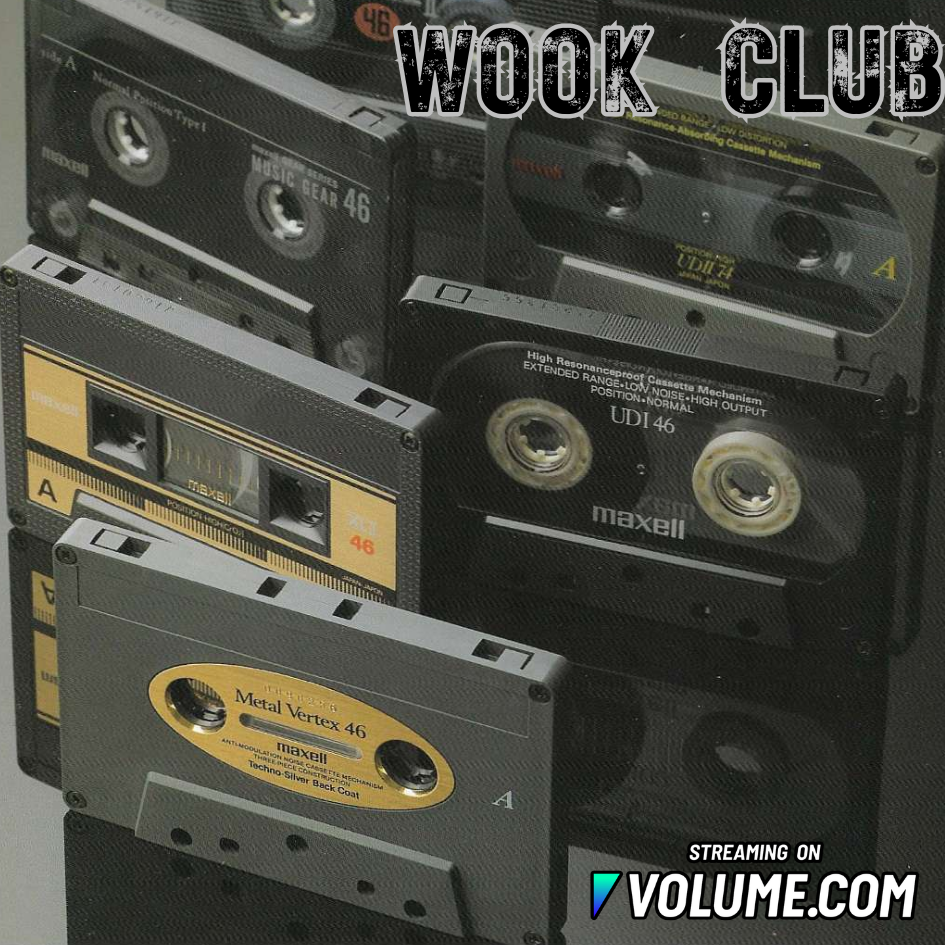 Wook Club | Phish 10/20/18 Hampton VA with Stub Me Down poster image