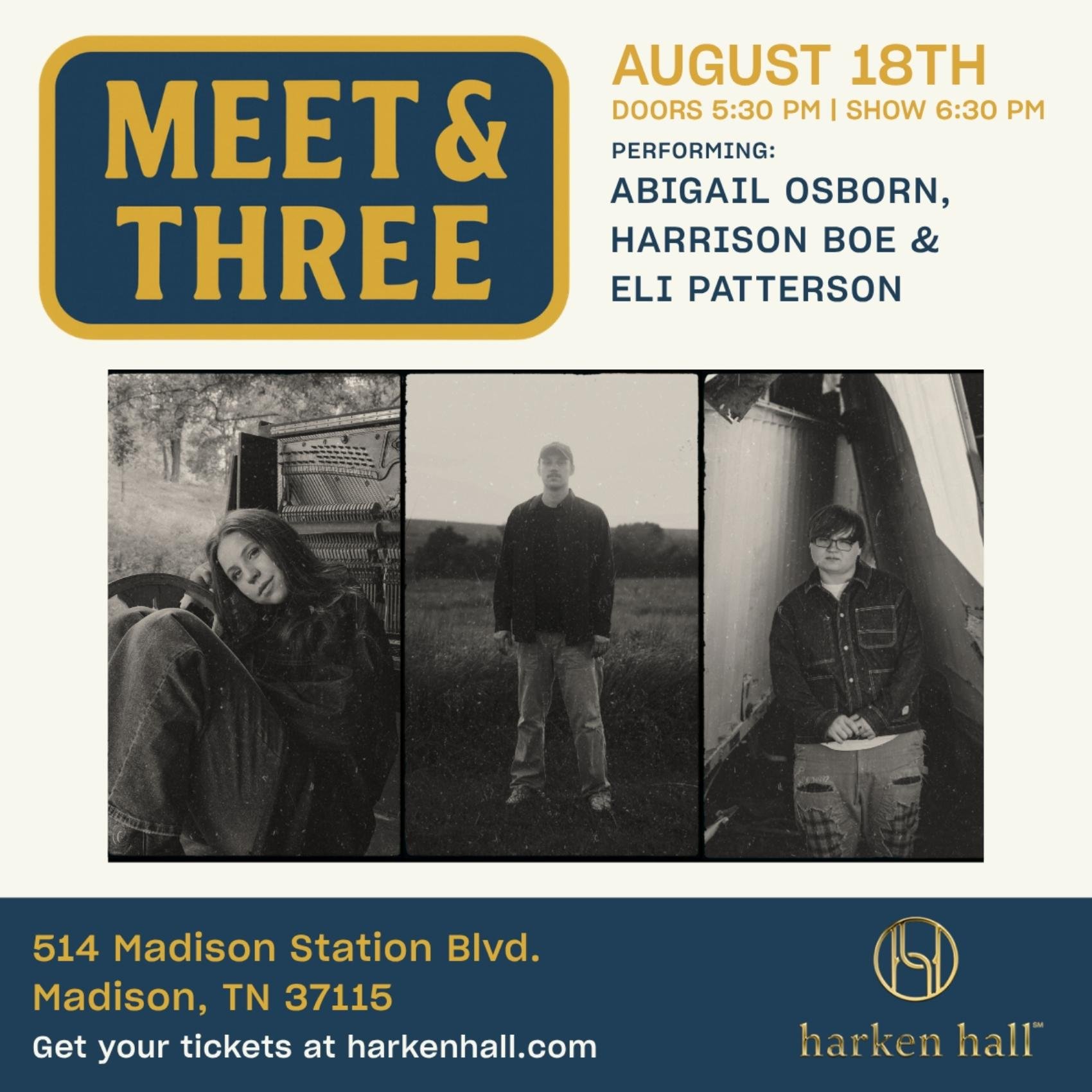 Meet And Three poster image
