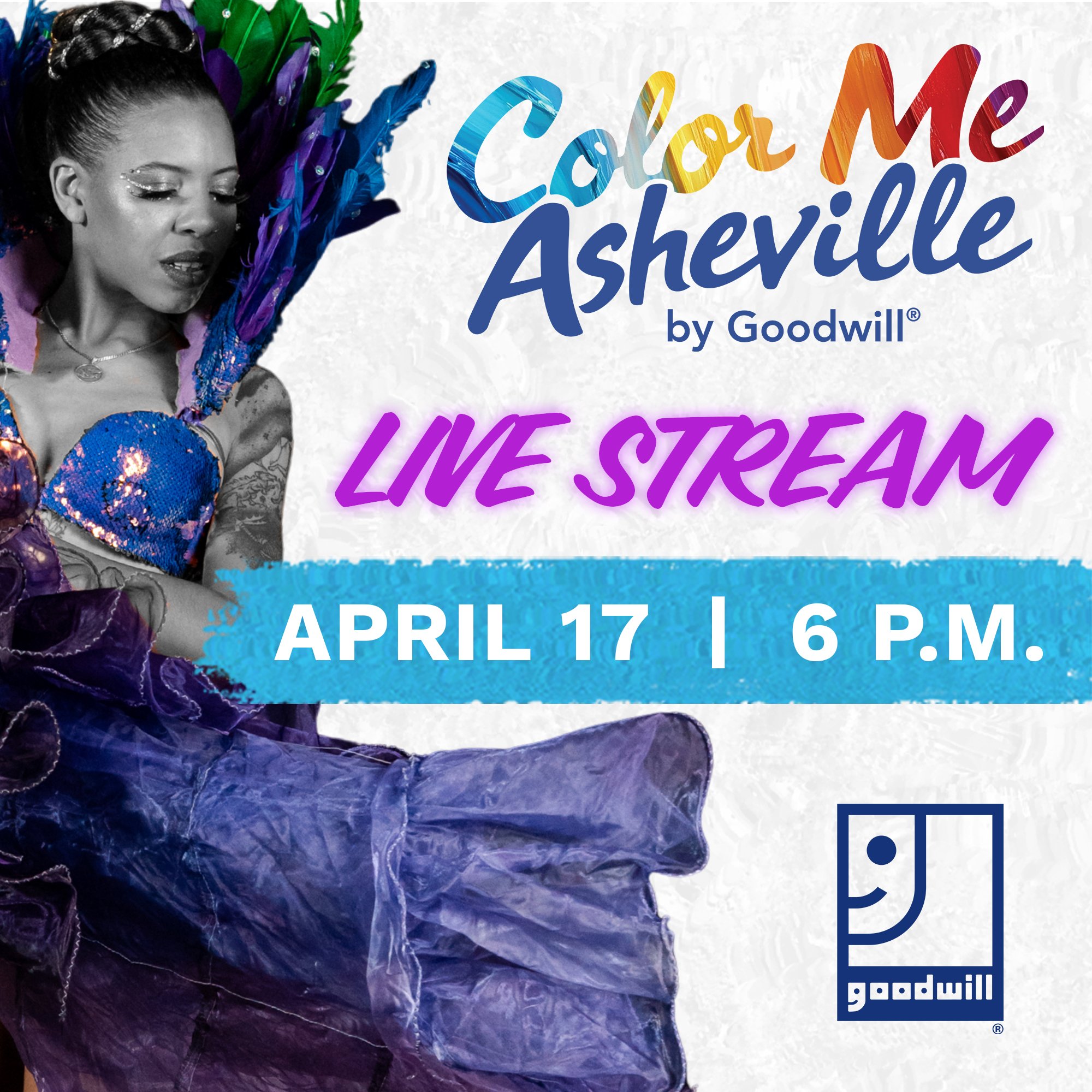 Color Me Asheville poster image