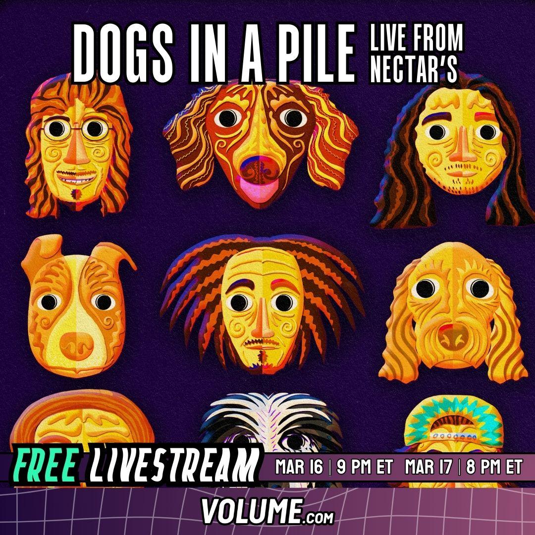 Dogs In A Pile poster image