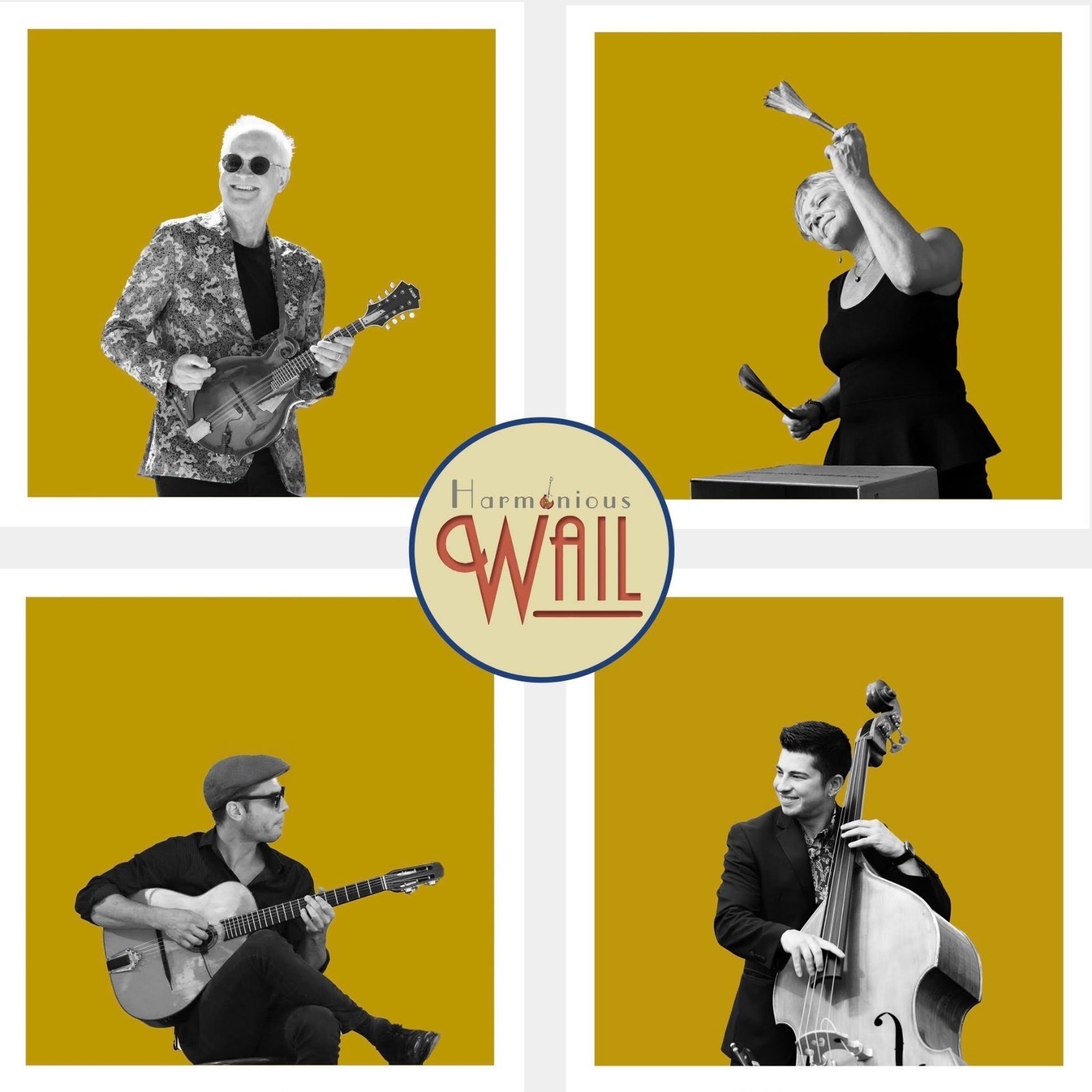 Harmonious Wail poster image