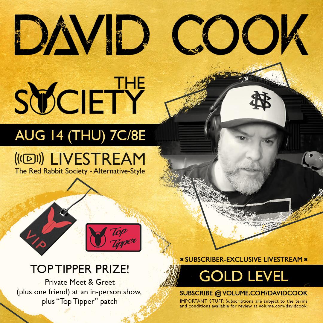 David Cook Alt Style Gold poster image