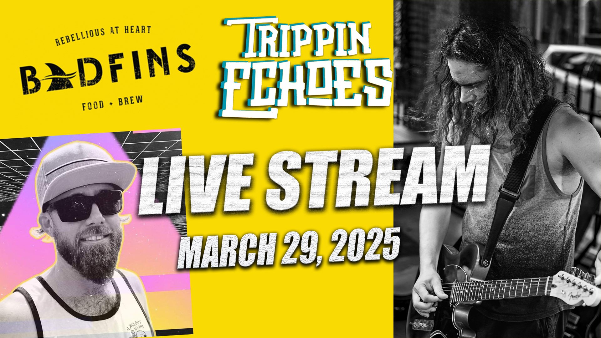 Badfins poster image