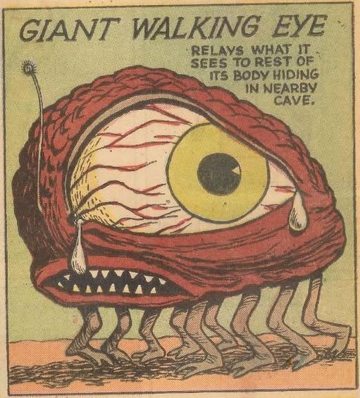 wook+mornings | 01/23/26 poster image