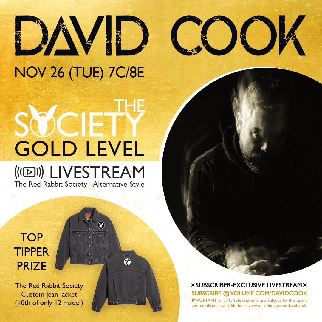 David Cook: Alt Style (Gold) poster image